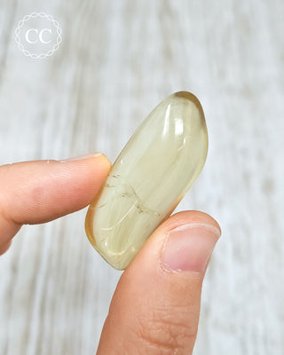 Natural Zambian Citrine Polished Crystal in hand