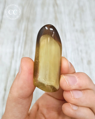 Natural Zambian Citrine Polished Crystal in hand