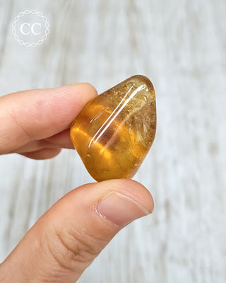 Natural Zambian Citrine Polished Crystal in hand