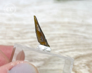 Zincite Crystal #5