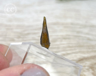 Zincite Crystal #5
