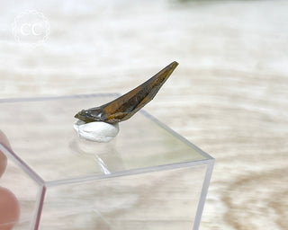 Zincite Crystal #5