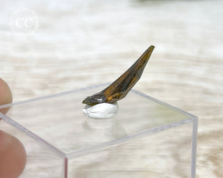 Zincite Crystal #5
