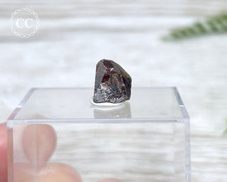 Zircon Crystal #1