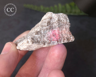Zunyite Specimen #1