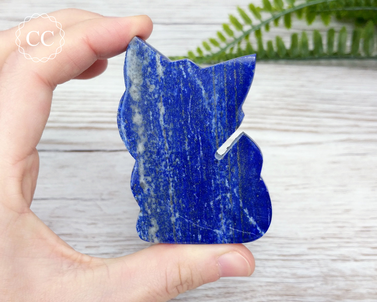 Lapis on sale lazuli cat