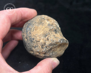 Oco Geode #2