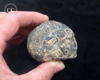 Oco Geode #1