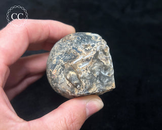 Oco Geode #1