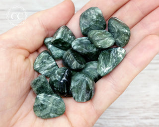 Seraphinite Tumbled Crystals in hand