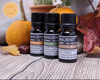 Autumn | Samhain Essential Oils - Sandalwood, Orange and Sage