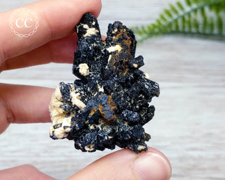 Black Tourmaline Cluster - Erongo Namibia #7
