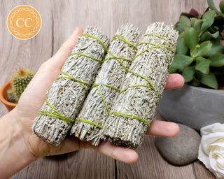Three Blue Sage Sticks in hand