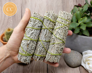 Three Blue Sage Sticks in hand