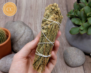 Desert Sage Stick in hand