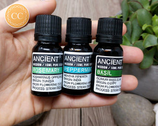 Essential Oils for Focus - Basil, Peppermint & Rosemary