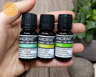 Essential Oils for a Boost - Lemon, Lime & Rosemary