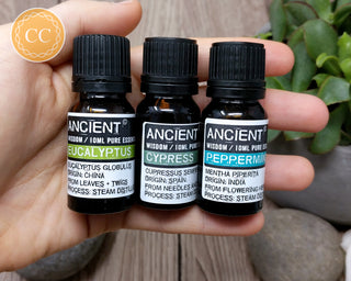 Essential Oils for the Throat Chakra - Cypress, Peppermint & Eucalyptus