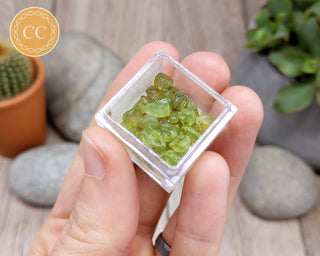 Peridot Crystals in Magnifier Box