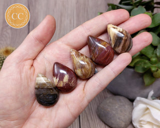 Petrified Wood Pendant