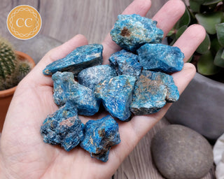 Blue Apatite rough raw crystal chunks in hand