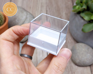 Mineral Specimen Box Trio Pack