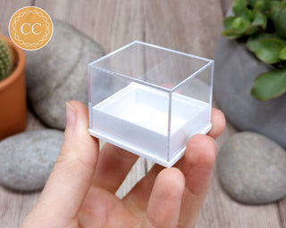 Mineral Specimen Box Trio Pack