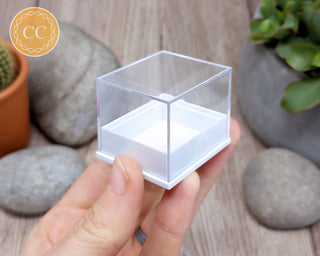 Mineral Specimen Box Trio Pack