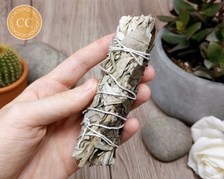 White Sage & Peppermint Stick in hand